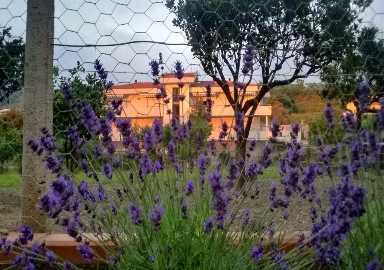 Casa Vacanza Demetra Fuscaldo Εξωτερικό φωτογραφία